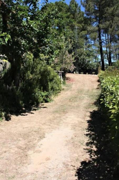Saint-Julien-de-Peyrolas Appartement Tout Equipe En Rez-De-Jardin Entre Gard Et Ardeche מראה חיצוני תמונה